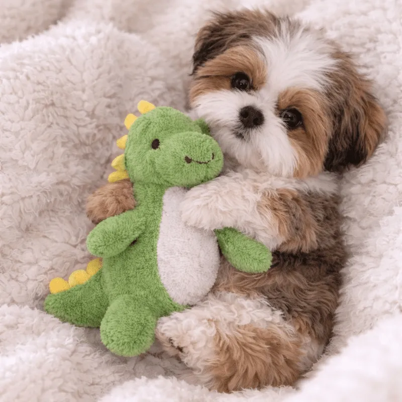Cachorro Shih tzu, foto 2
